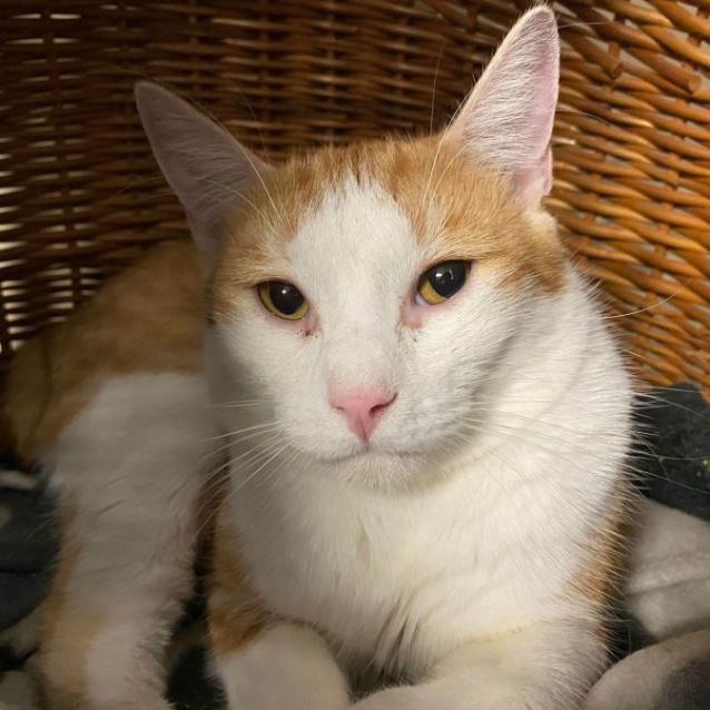 Photo of Charlie