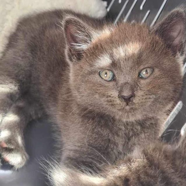 Photo of Abbi