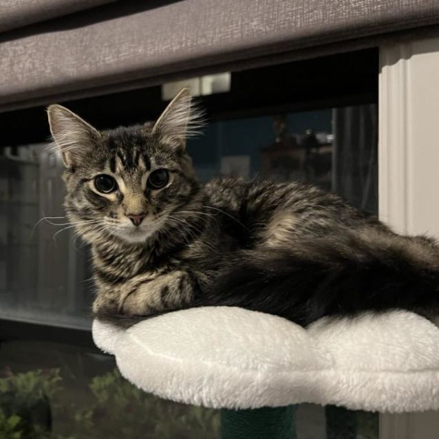 Photo of Jaiyana (Located In Cranbourne East)