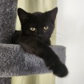 Photo of Agatha