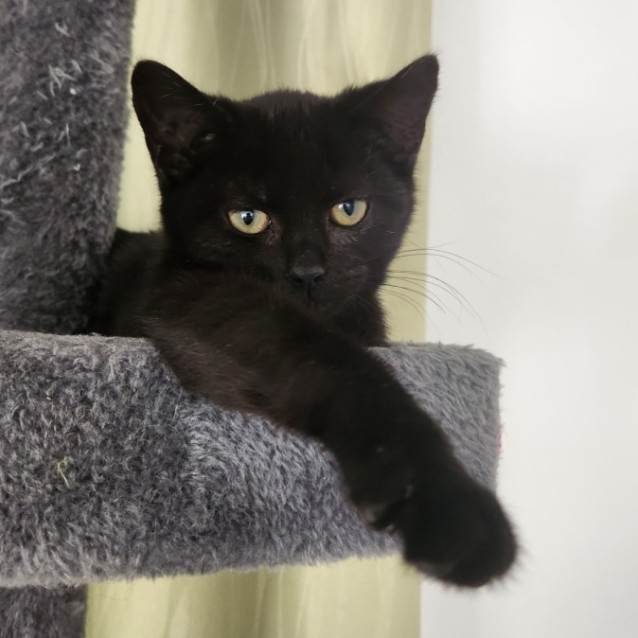 Photo of Agatha