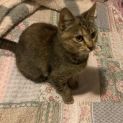 Photo of Shyla