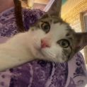 Photo of Pepper