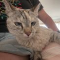 Photo of Smokey