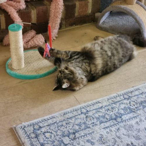 Luna