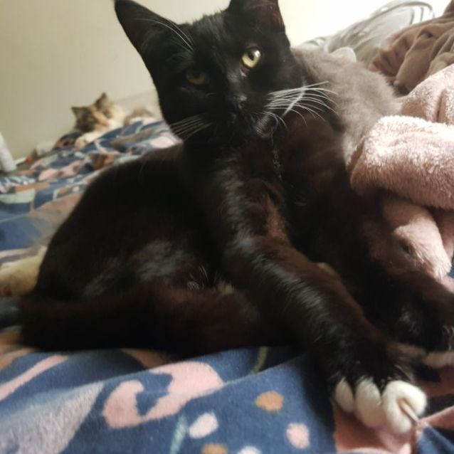 Photo of Hagar & Eli 🌸🐈‍⬛