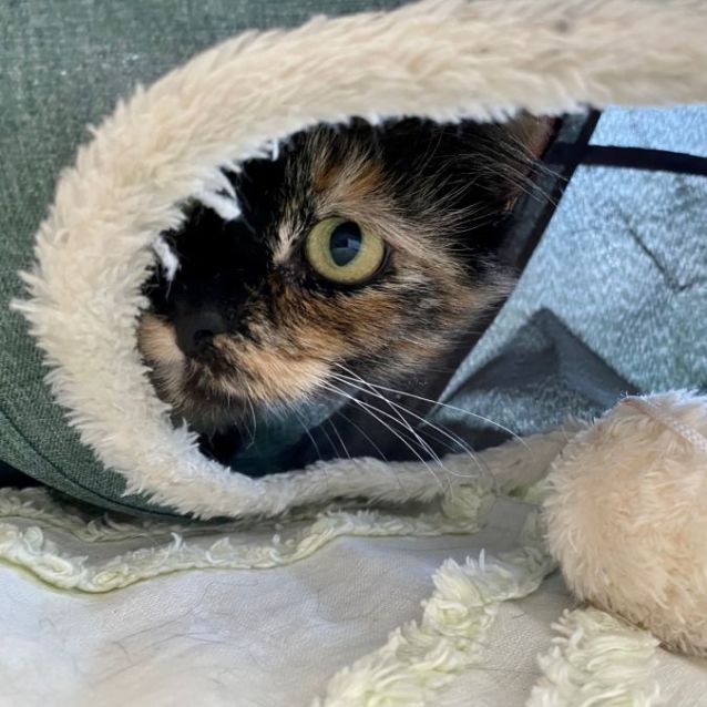 Photo of Tui (Located In Docklands)