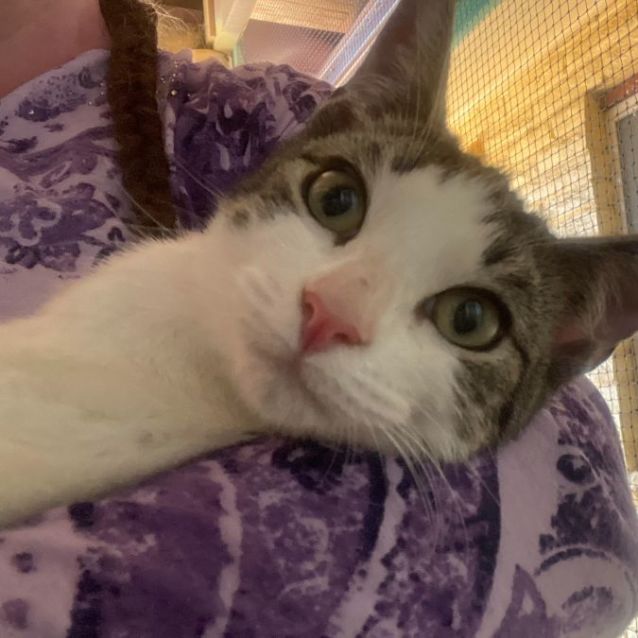 Photo of Pepper