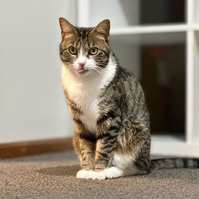 Photo of Mila 🌷🌷