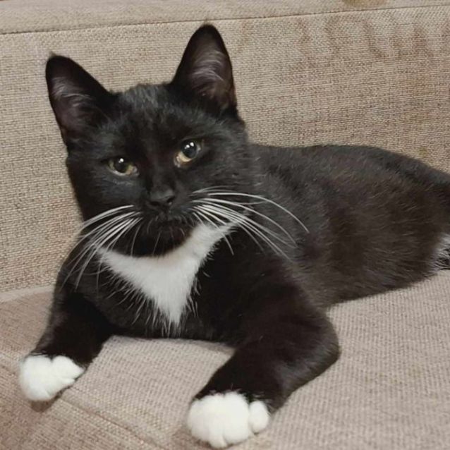 Photo of Charlotte   Located In Bundoora