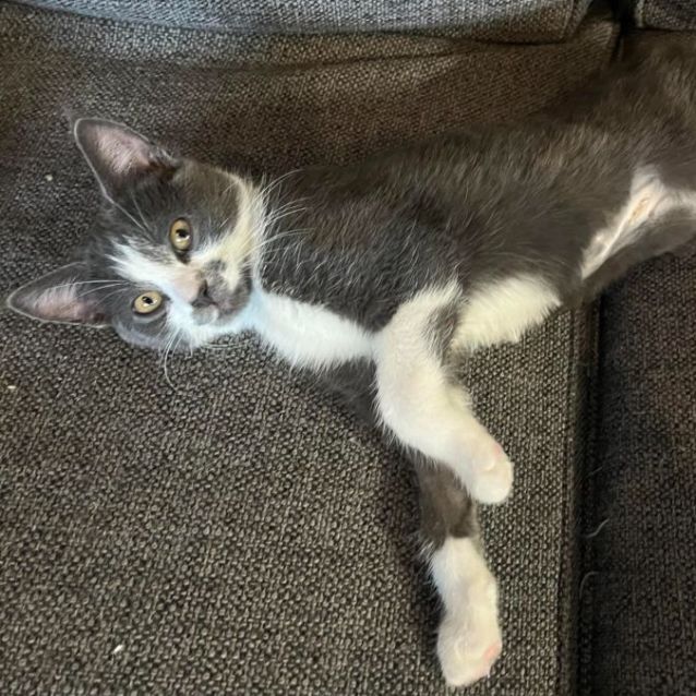 Photo of Keats   Meet Me At Vets On Parker Templestowe