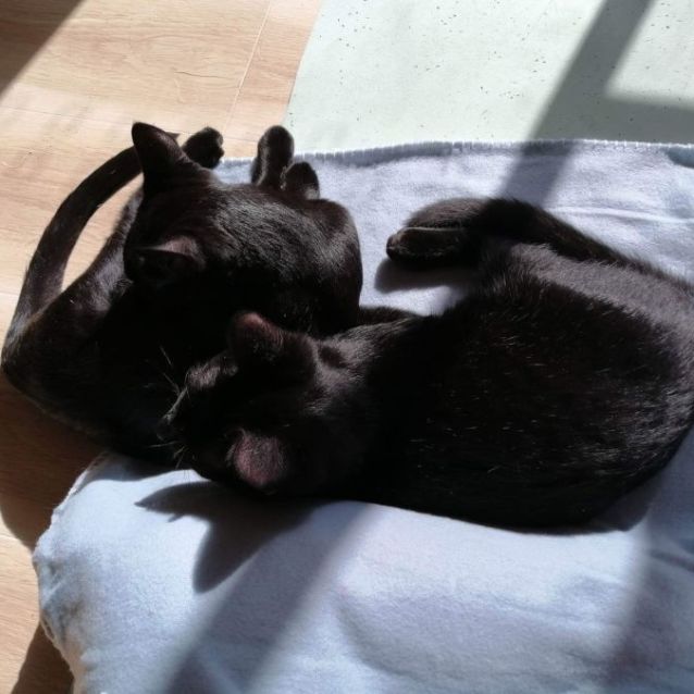 Photo of Jerry