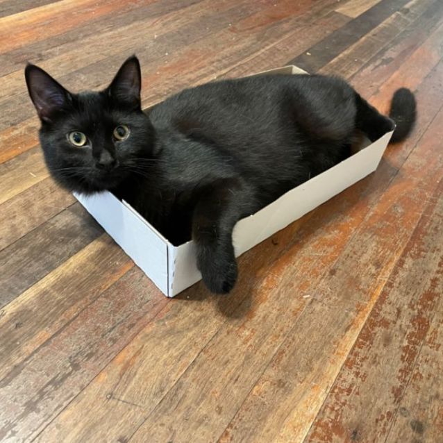 Photo of Callie And Bear