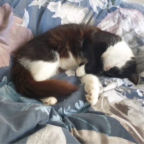 No photo for Katy Purry