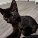 Photo of Bug