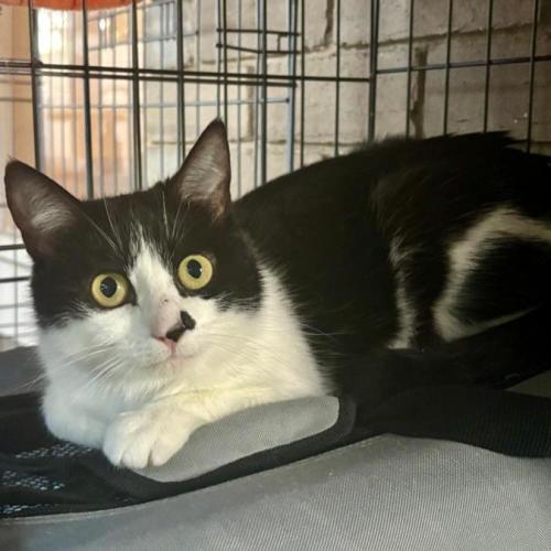 No photo for 🐭 Esse 🐭