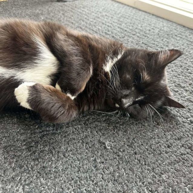 Photo of Major Tom & Billy Joel