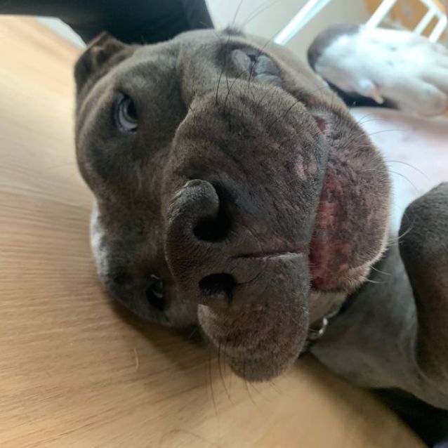 Photo of Juke Dl2731