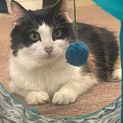 Photo of Polly