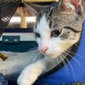 Photo of Pepper