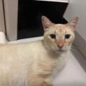 Photo of Snowy