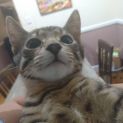 Photo of Mr Brownie