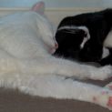 Photo of Jessie & Hope