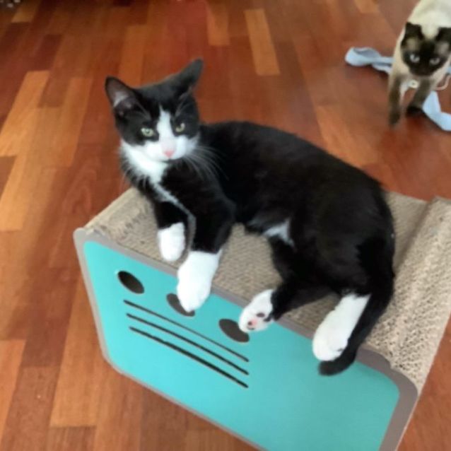 Photo of Jack