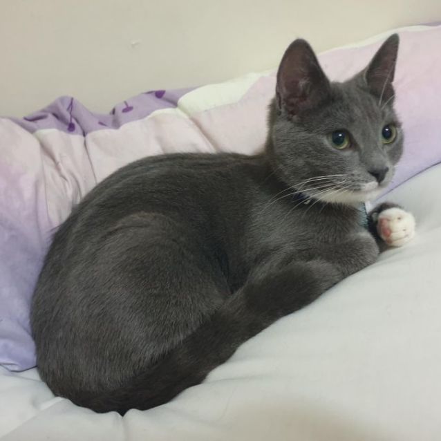 Photo of Tiffany Valentine