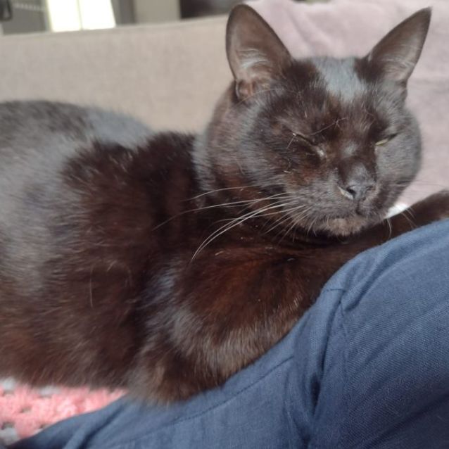 Photo of Norman & Oslo