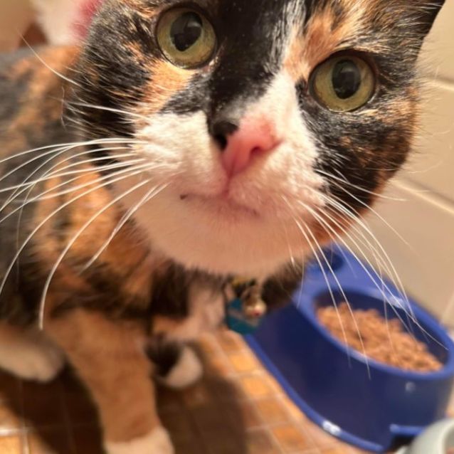 Photo of  Truffles 😍😍