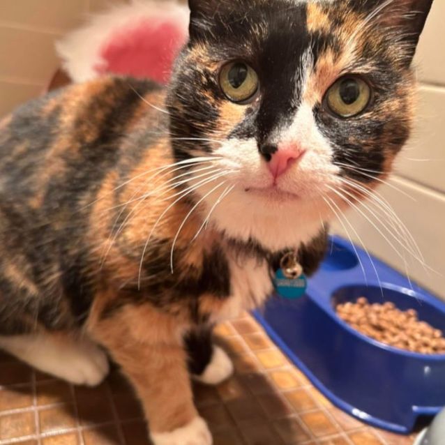 Photo of  Truffles 😍😍