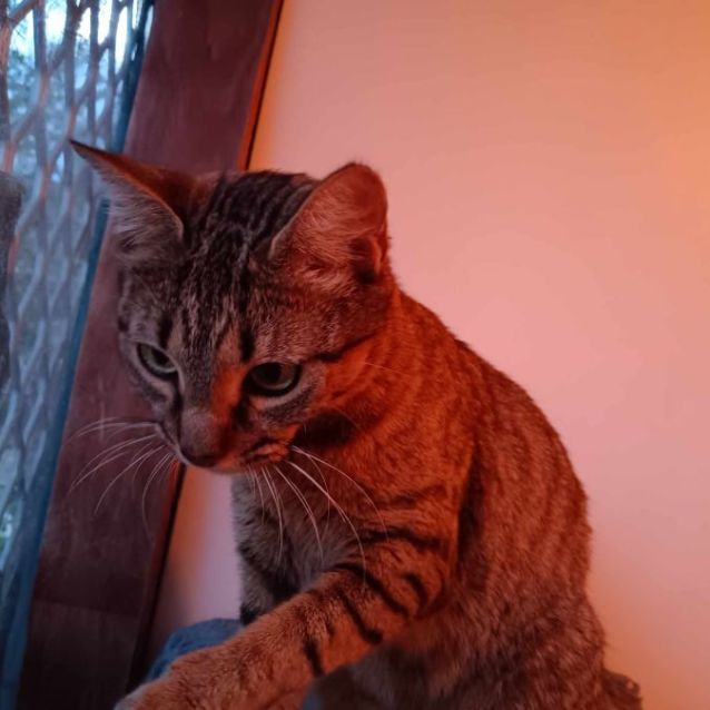 Photo of Lilly