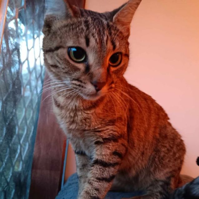 Photo of Lilly