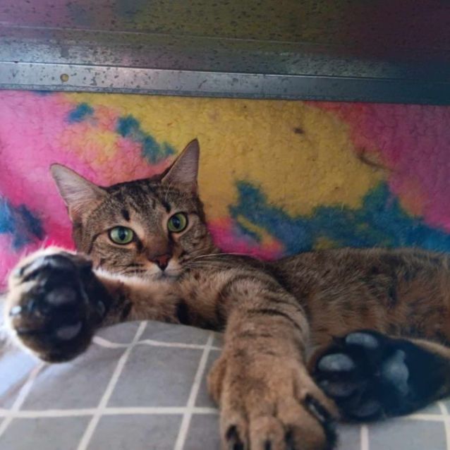 Photo of Lilly