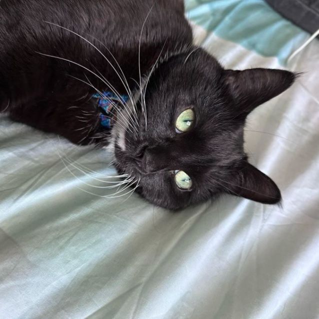 Photo of Mica 🌸🌸🌸