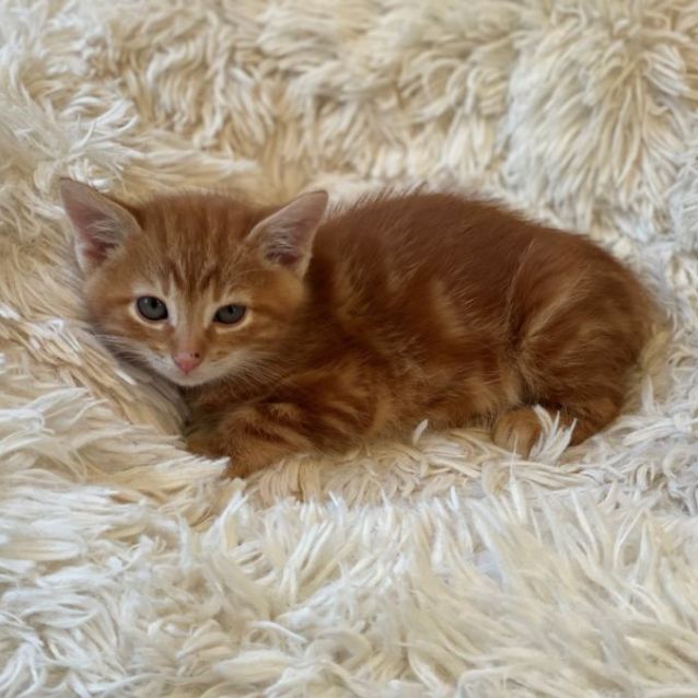 Photo of C1320 Keith 