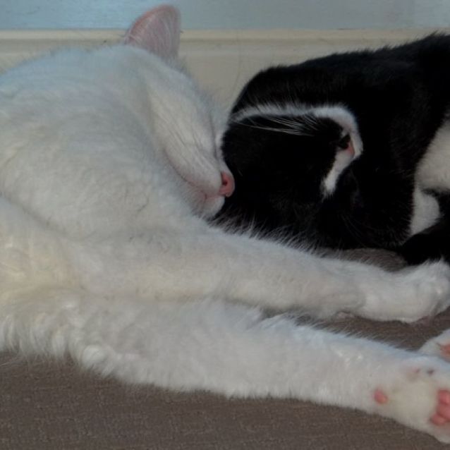 Photo of Jessie & Hope