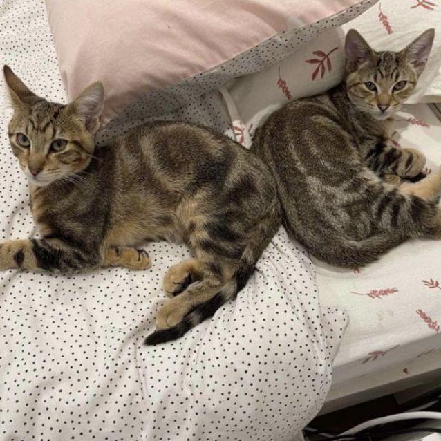 Photo of Bumi And Tenzin