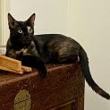 Photo of Hazel