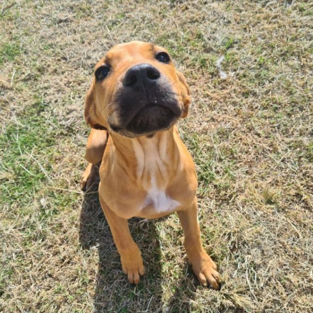 Photo of Darla