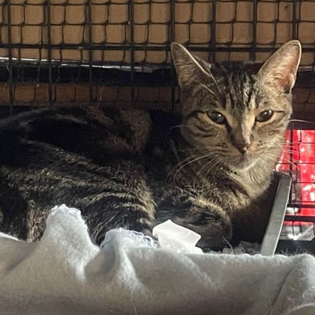 Photo of Tabitha