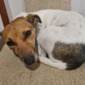 Photo of Miette