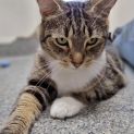 Photo of Jasper
