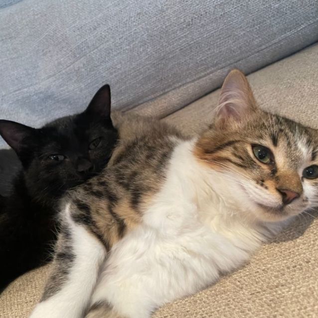 Photo of Bonnie And Floofy