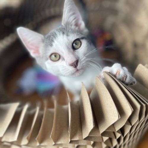 Sasha💙🧸