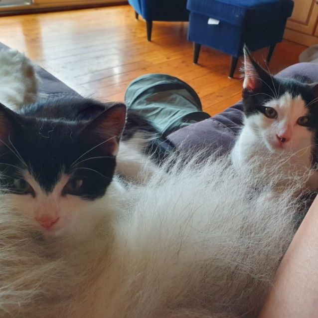 Photo of Gael And Mr T