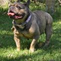 Photo of Enid