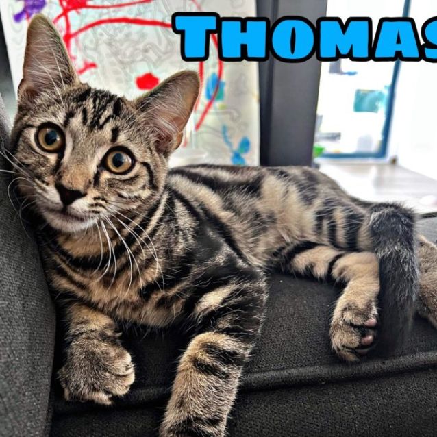 Photo of Thomas And Pepper