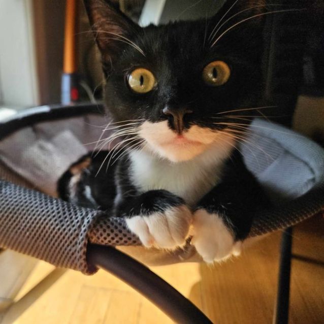 Photo of James Bond And Miss Moneypenny